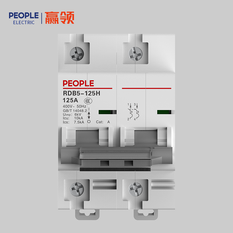 人民电器RDB5-125H系列小型断路器 