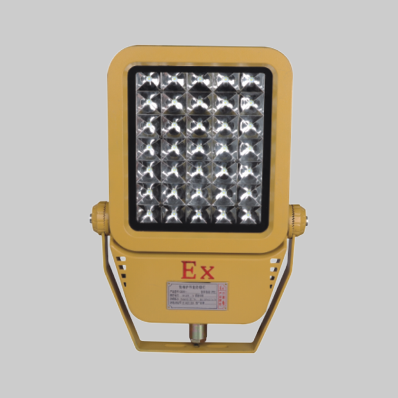 人民电器RDB98-MZ型防爆免维护节能灯(LED) 